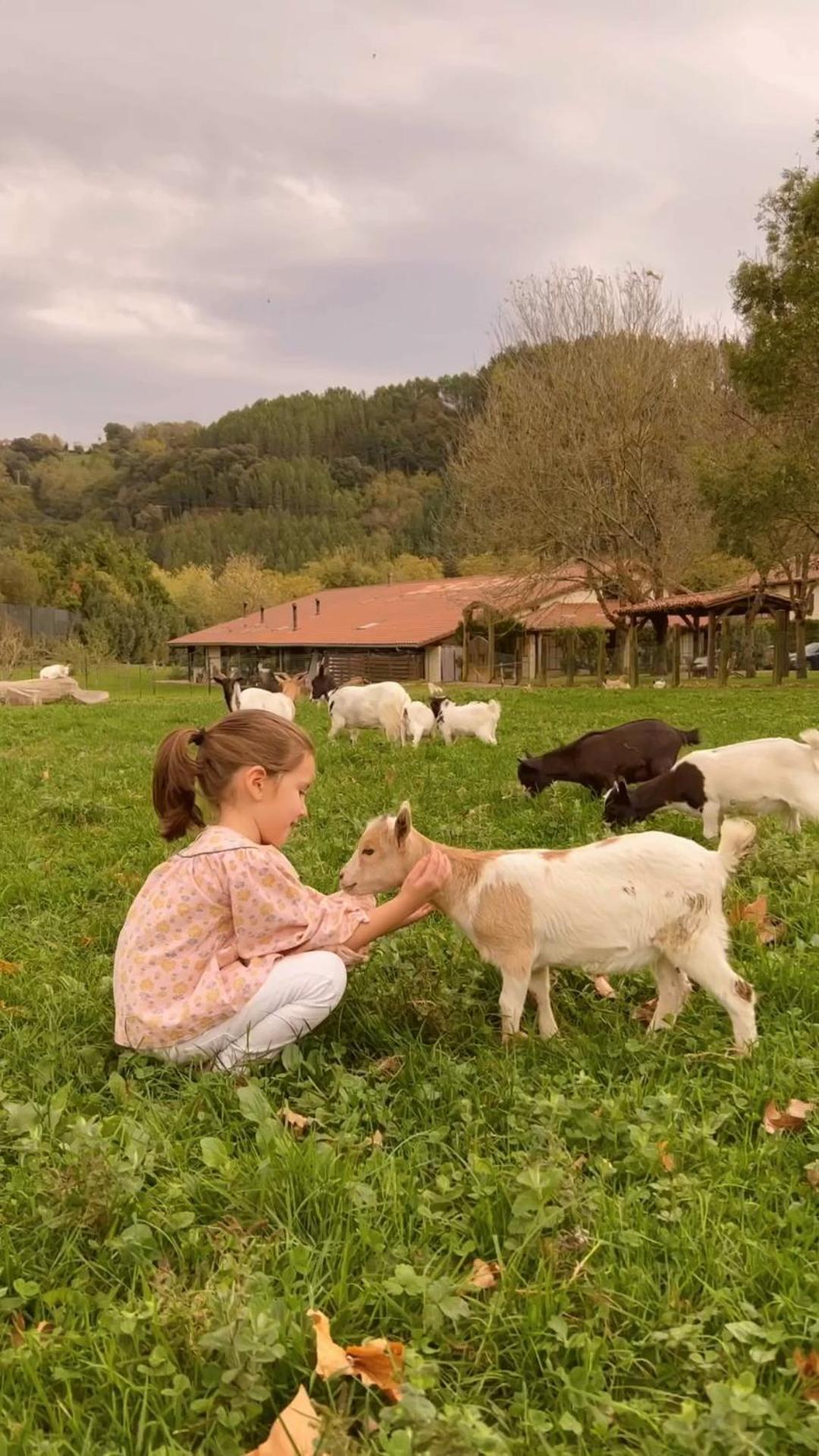 Casa Rural Jesuskoa Zumaia Bagian luar foto