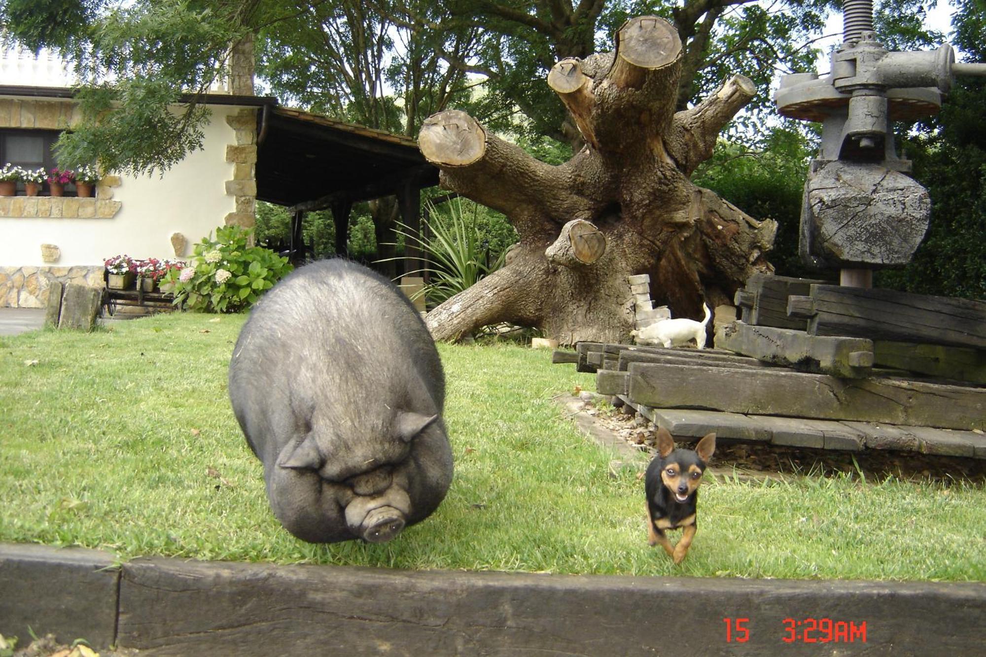 Casa Rural Jesuskoa Zumaia Bagian luar foto